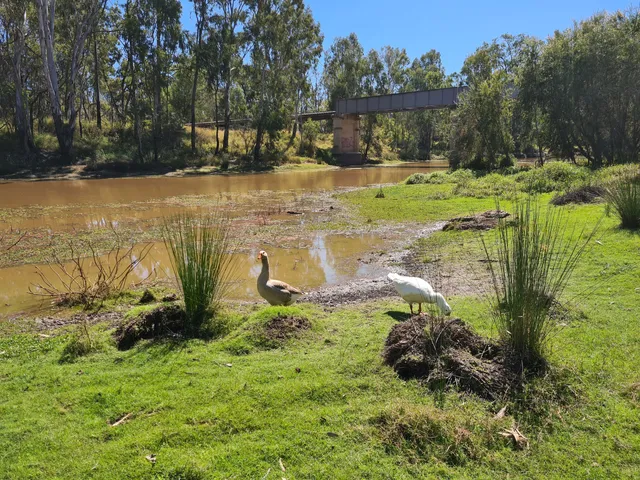 Dogwood Creek Walking Track