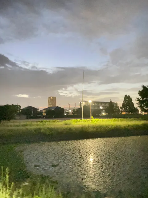 photo-1