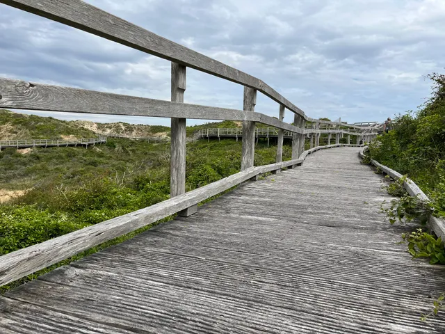 Sentier Découverte De La Dune Parabolique