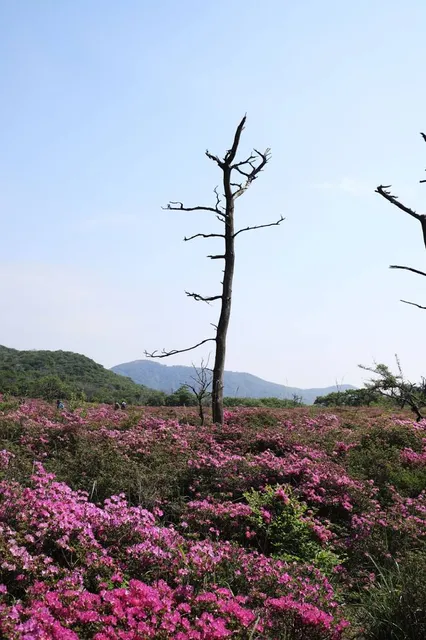 Doberdò del Lago / Doberdob
