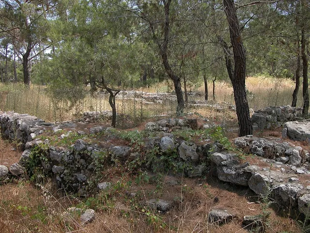 Idyros Antik Kenti ​