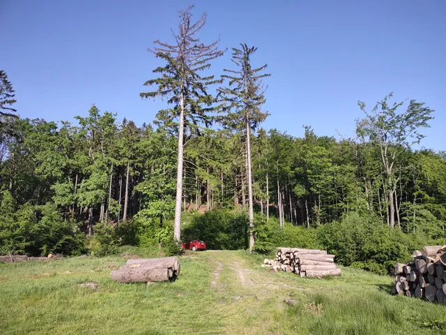 Czarcia Góra 709 m.n.p.m