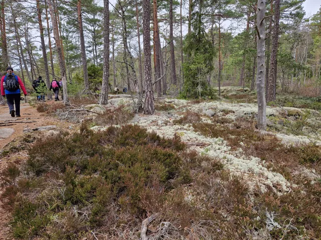 Upplands Trail (Bålsta to Älvkarleby)