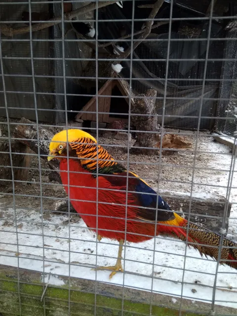 Zvirynetsʹ-Park Im. Benedykta Dybovsʹkoho