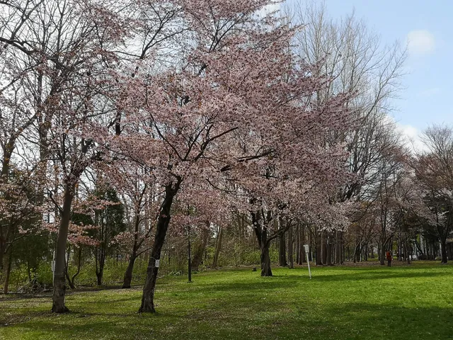 Tonden Nishi Park