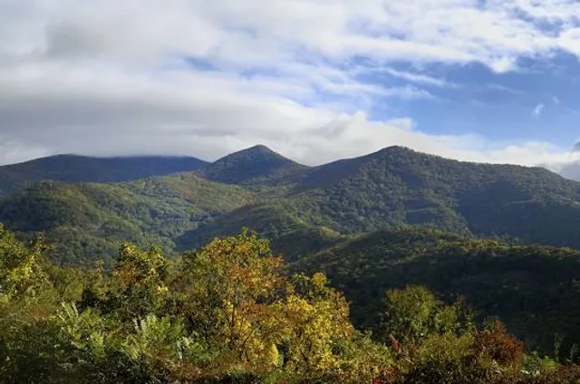 Tanbark Ridge Overlook