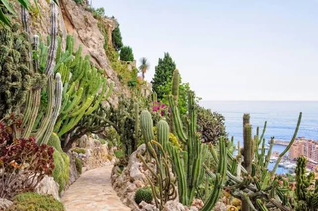 Exotic Garden of Monaco