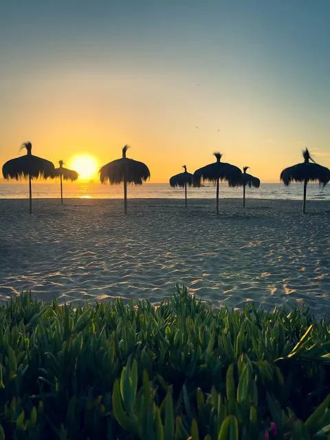 Playa Grande - Tongoy