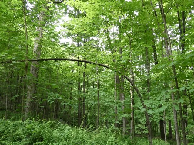 Fred Dill Wildlife Sanctuary