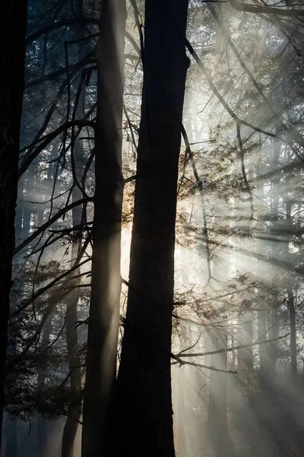 Audubon Museum & Nature Center