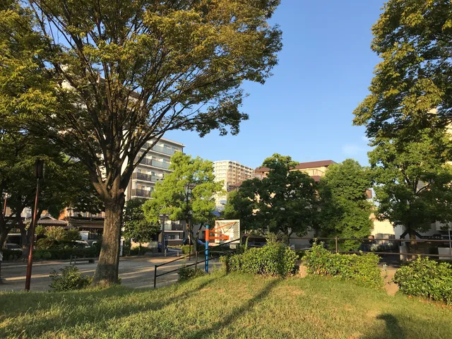 photo-2