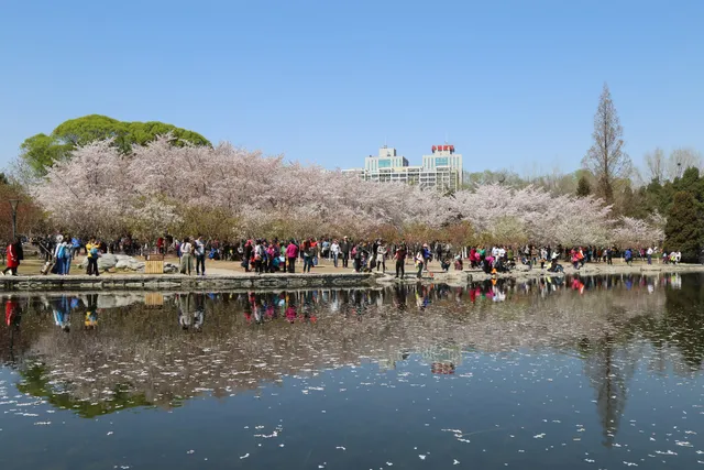 玉渊潭公园