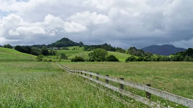 Matakana Country Park