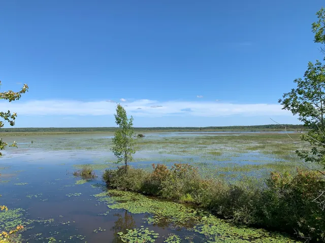 Tiny Marsh Provincial Wildlife Area