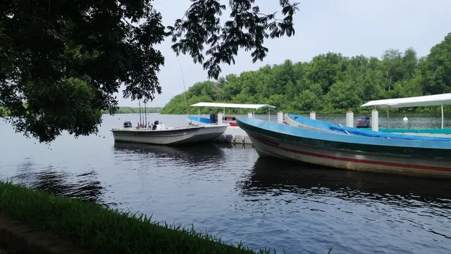 Puerto Barilla Monkey Reserve