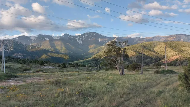 Zaaminskiy Gosudarstvennyy Gorno-Archovyy Zapovednik