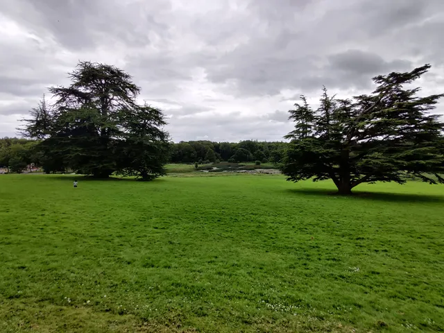 photo-3