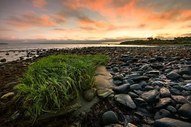 Sachuest Point National Wildlife Refuge