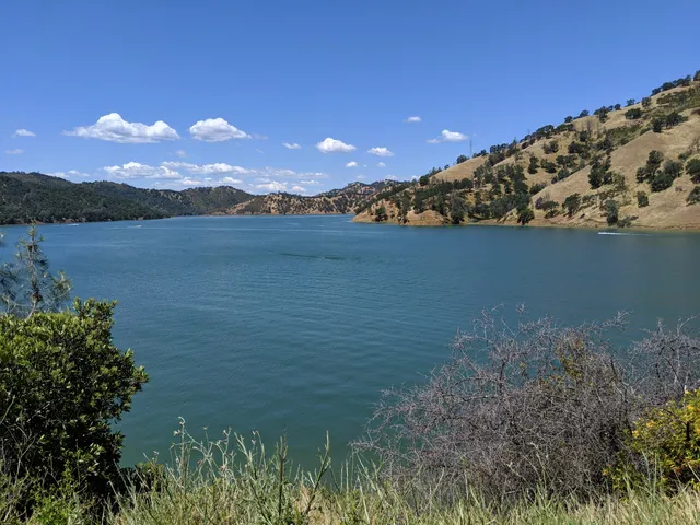 Putah Creek State Wildlife Area