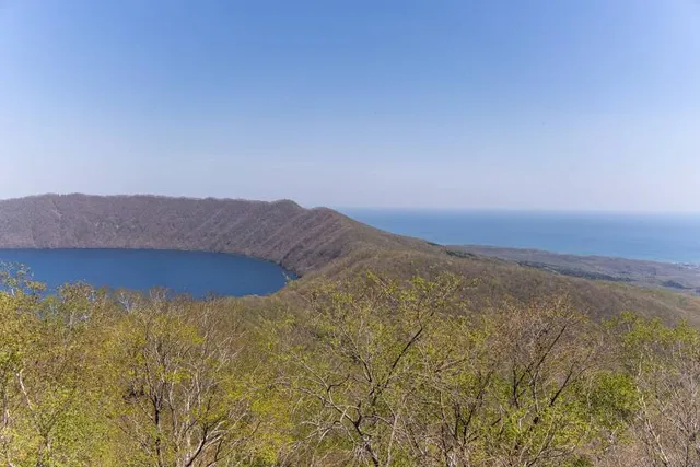Noboribetsu Bear Park - Second Enclosure (Female)