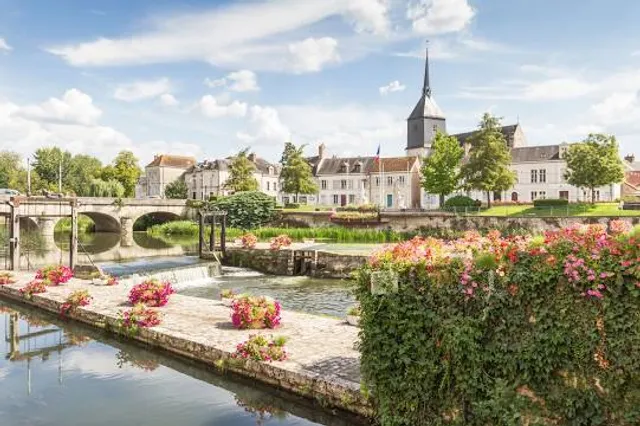 Du Côté des Renoir