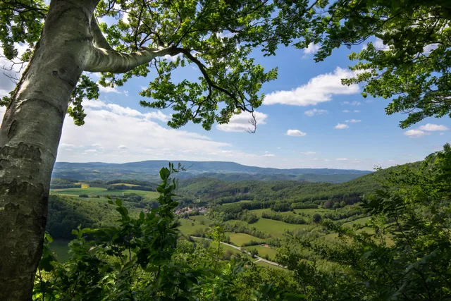Salzfrau (471 m ü. NHN) Panoramatafel