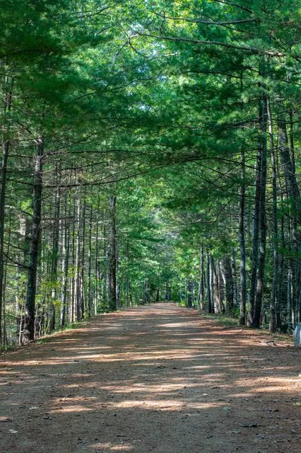 Mass Central Rail Trail