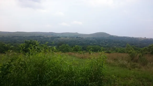 The Cradle Nature Reserve