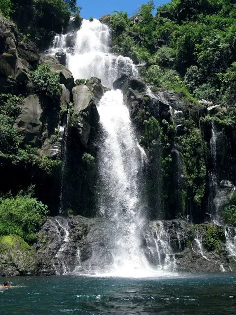 Bassin des Aigrettes