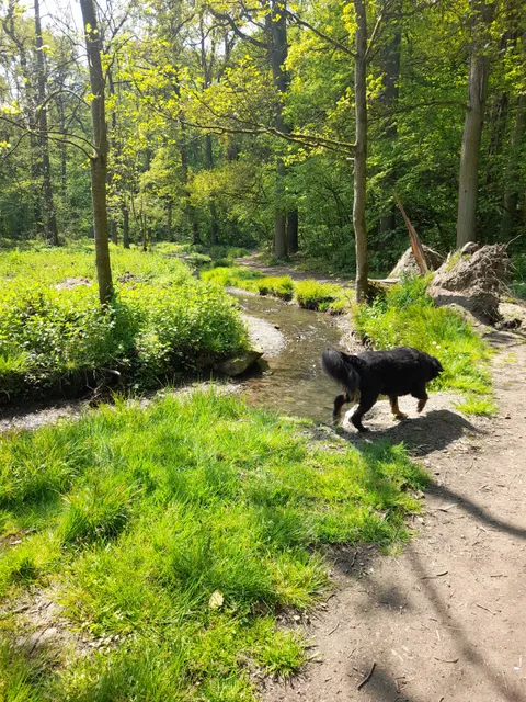 Ham-sur-Heure-Nalinnes