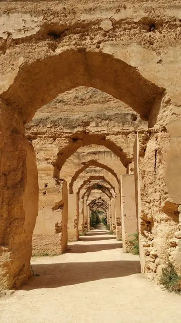 photo-2