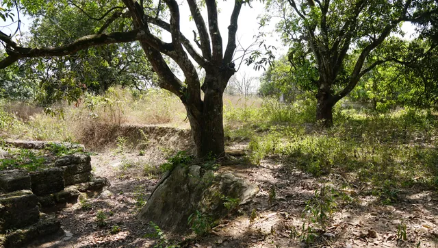 Xã Đức Hòa Hạ