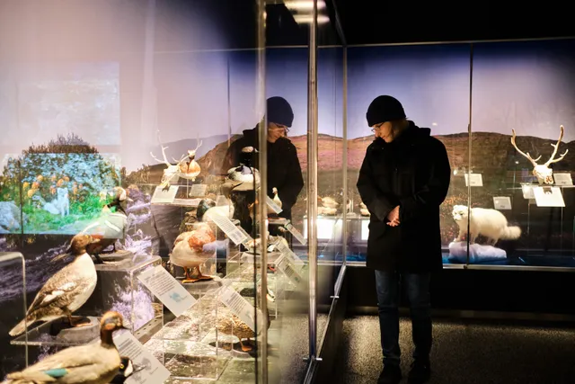 Natural Museum of Kópavogur