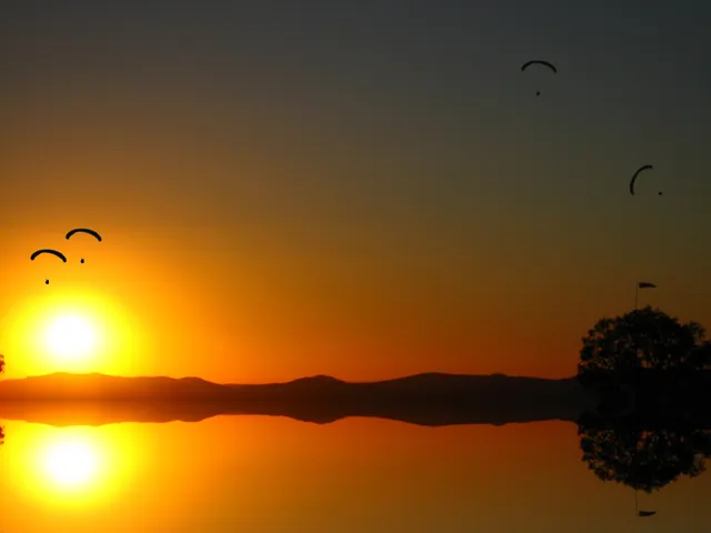 Tiroler Flug Taxi Tandemflüge Tannheimertal Austria