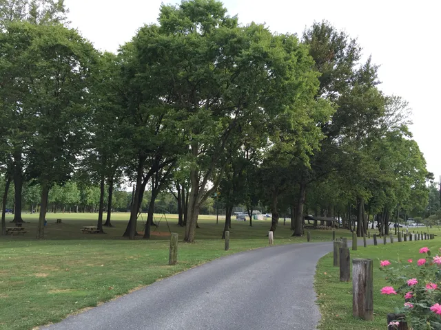 New Cumberland Borough Park