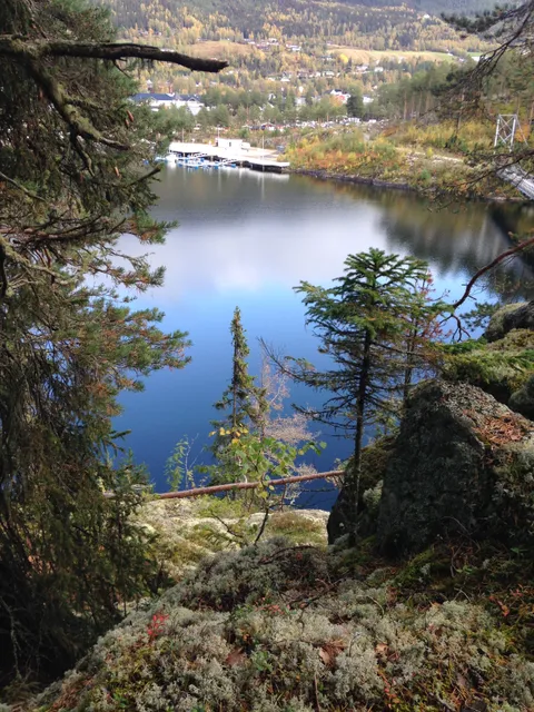 photo-1