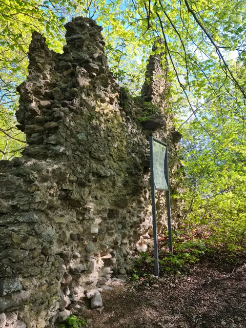 Ruine Schrotzburg