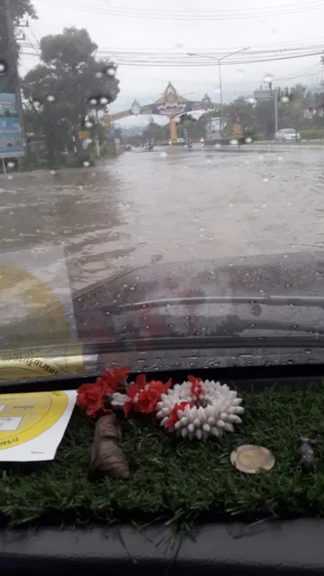 แยกพืชสวนโลก