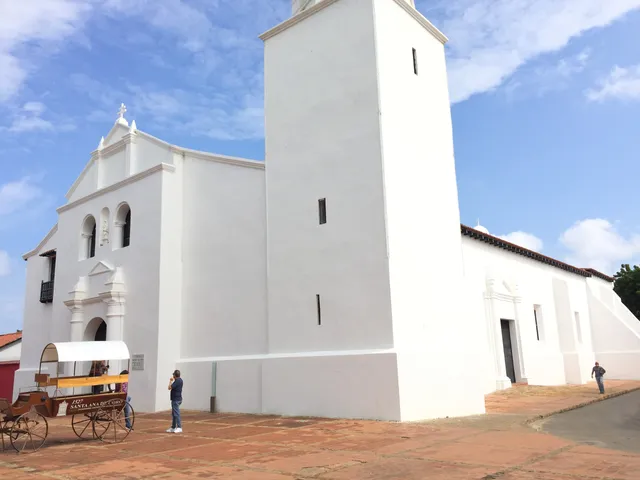 Cathedral Basilica of St. Ann, Coro