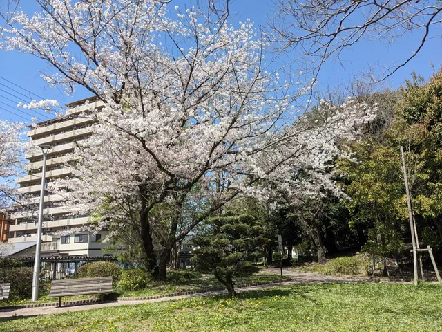 Bisai Park