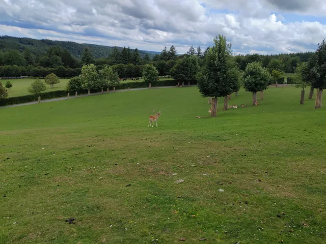 Parc animalier de Rochehaut