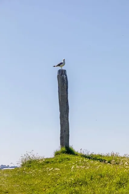 Bosque Popular El Prado