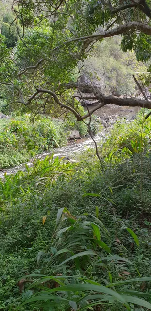 photo-2