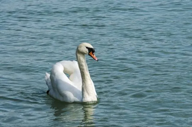 Porzellanikon – Staatliches Museum für Porzellan Selb