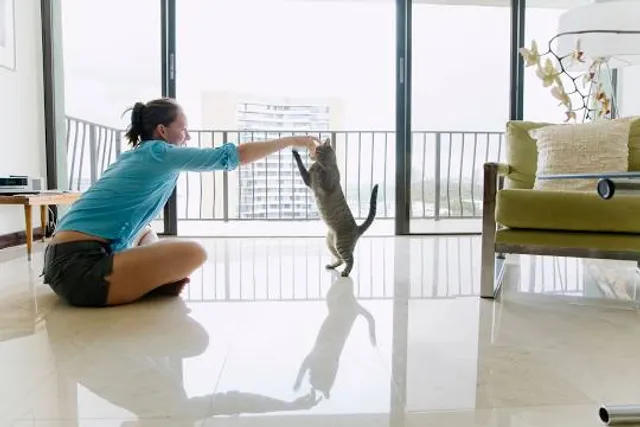 Museo de Prehistoria de Orce