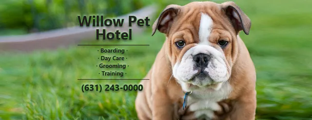 Willow Pet Hotel