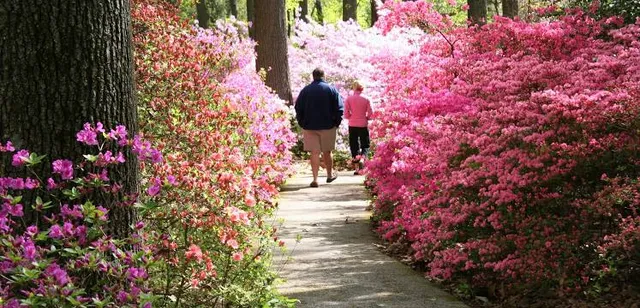 Jenkins Arboretum & Gardens