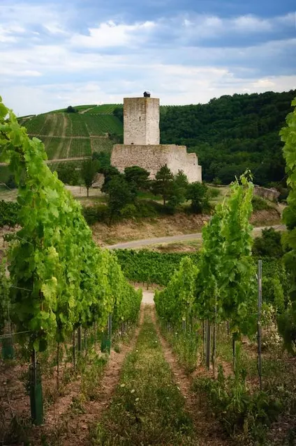 Castle Wineck