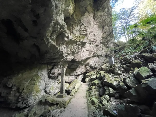 photo-1