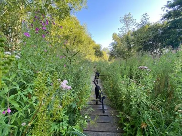 Educational trail - Oborín